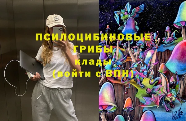 спайс Беломорск