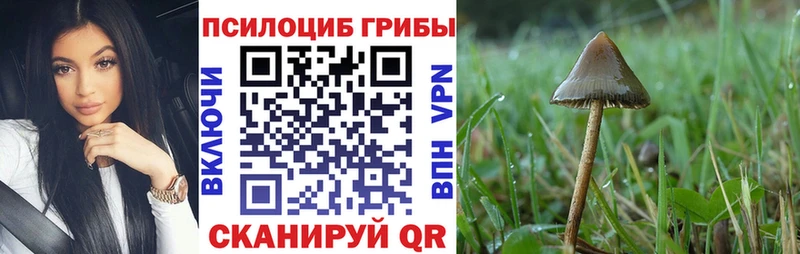 Галлюциногенные грибы прущие грибы  Болотное 